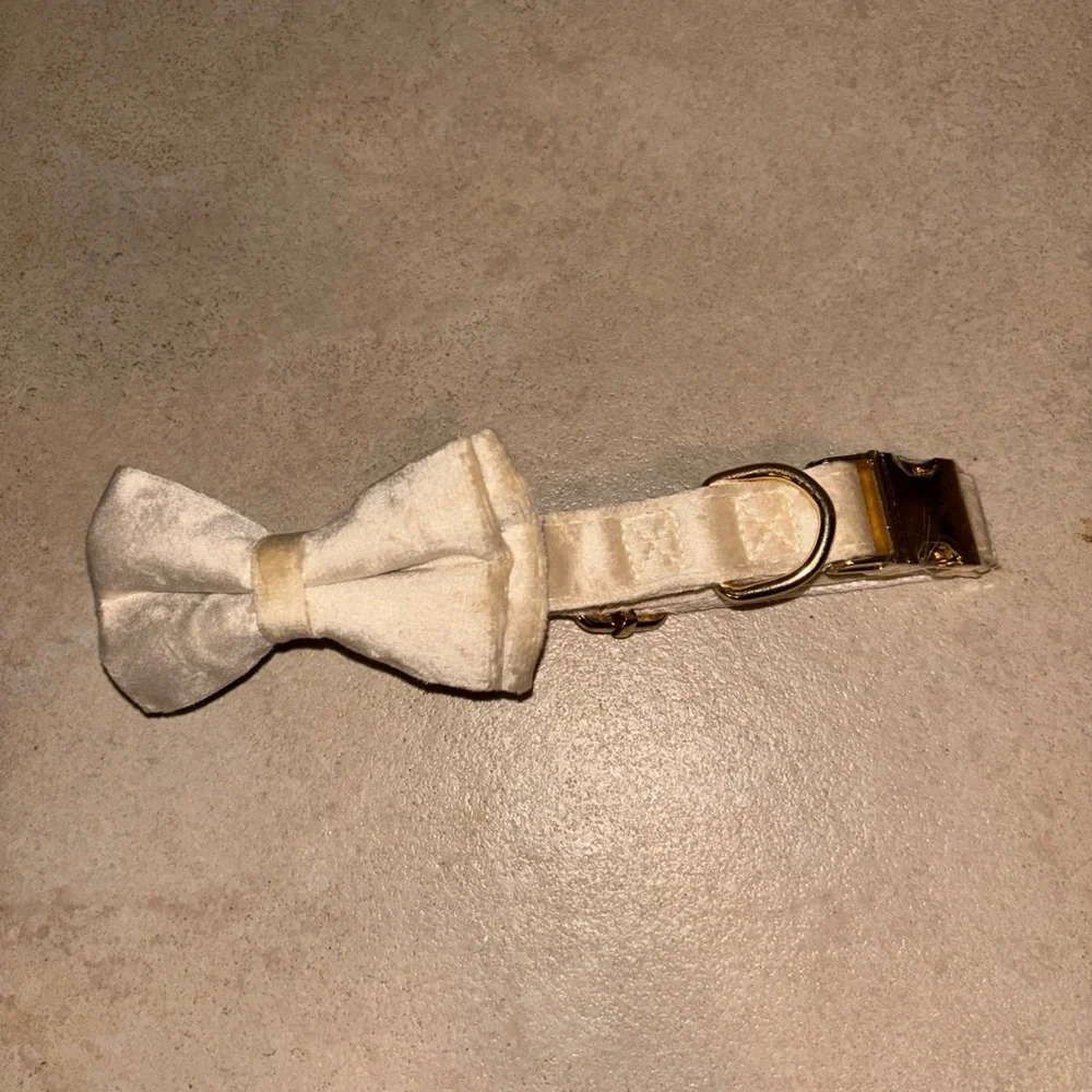 NIB Velvet Cream Bow Tie Dog Collar